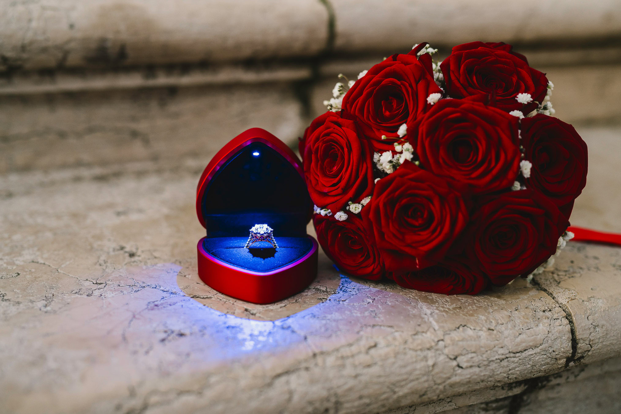 Lesbian couple in front of Santa Maria della Salute during their proposal in Venice