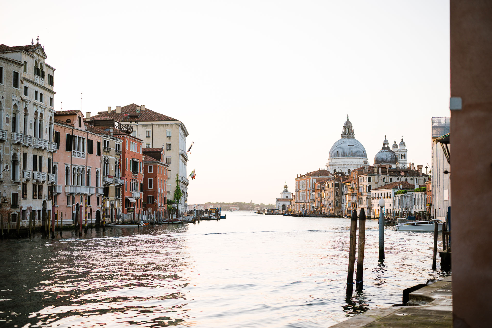 Venice surprise proposal on a bridge near Basilica di Santa Maria della Salute