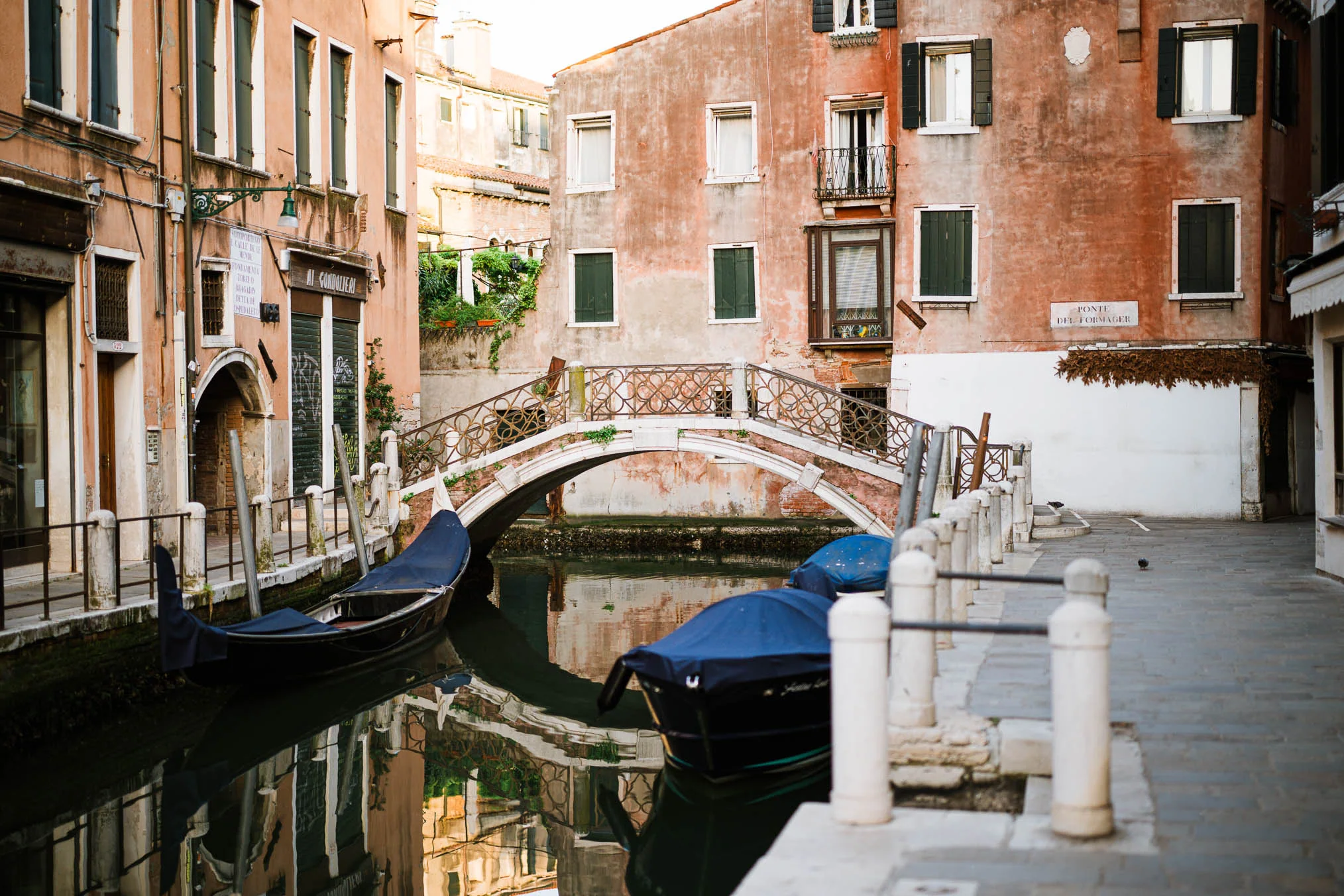 Venice surprise proposal on a bridge near Basilica di Santa Maria della Salute