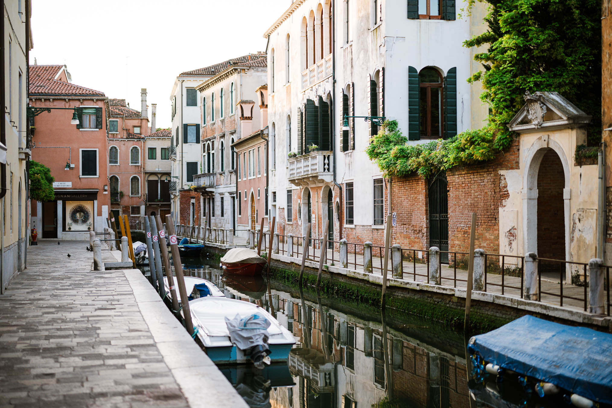 Venice surprise proposal on a bridge near Basilica di Santa Maria della Salute