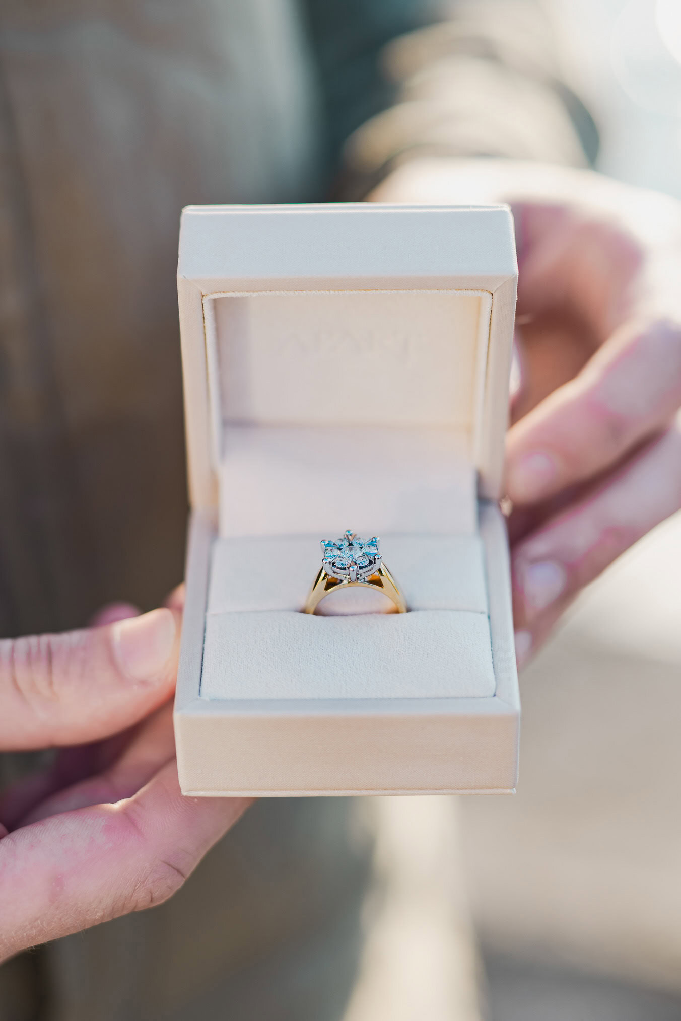 Man proposing to his girlfriend at sunset on San Giorgio Maggiore island