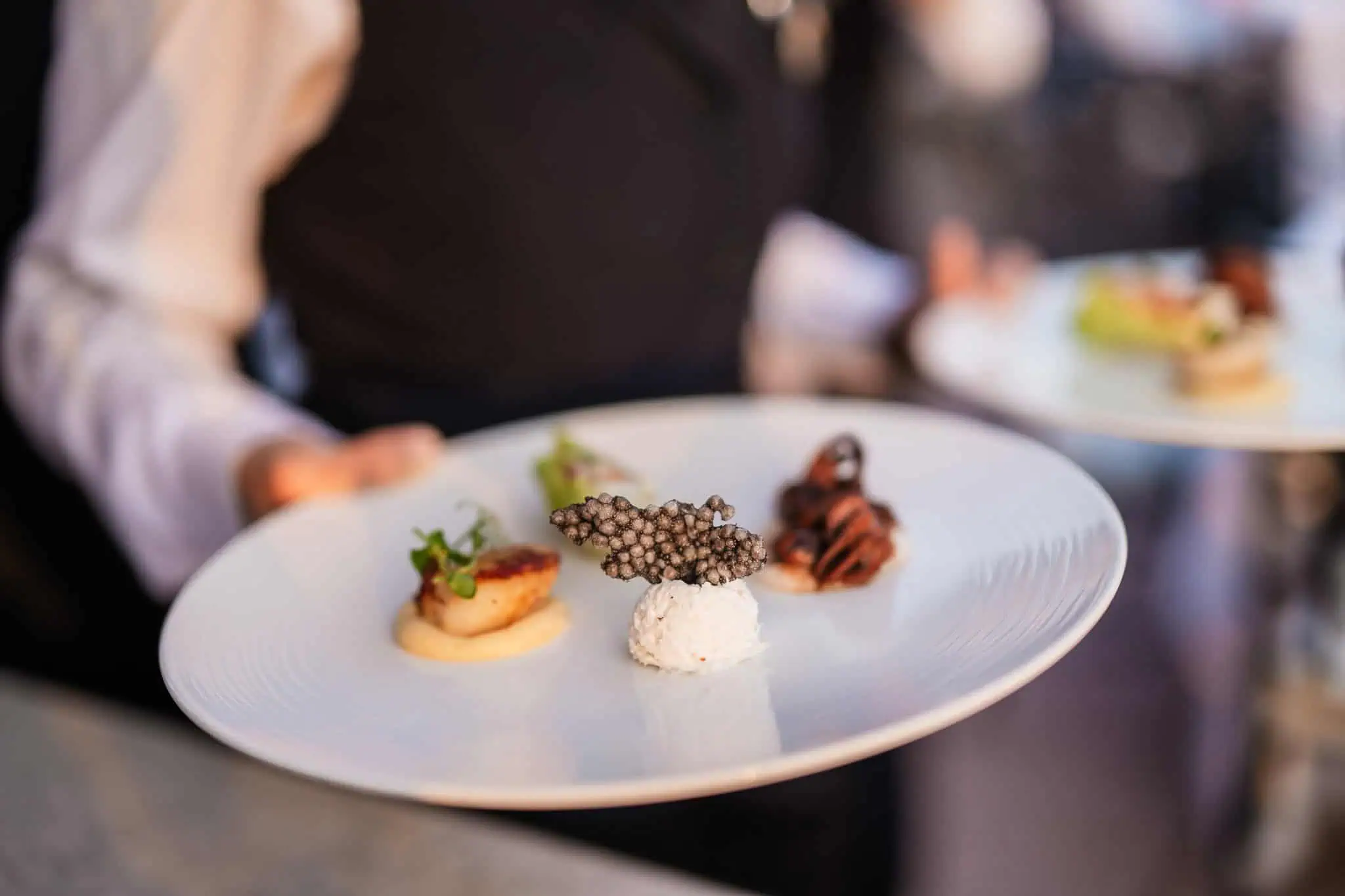 1. Elegant plated gourmet dessert served at a Venice wedding reception, photographer specializing in proposals and engagements.